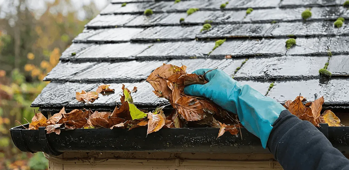 Gutter cleaning technician clearing wet leaves from roof gutters in Saint Petersburg, FL